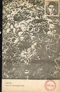 [Catálogo sobre muestra de Roser Bru en Galería Cromo año 1977]