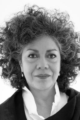 Doris Salcedo